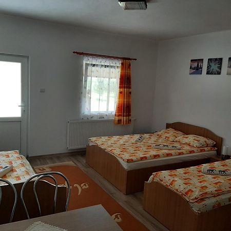 Kacsó Apartma Ocna de Sus Exterior foto