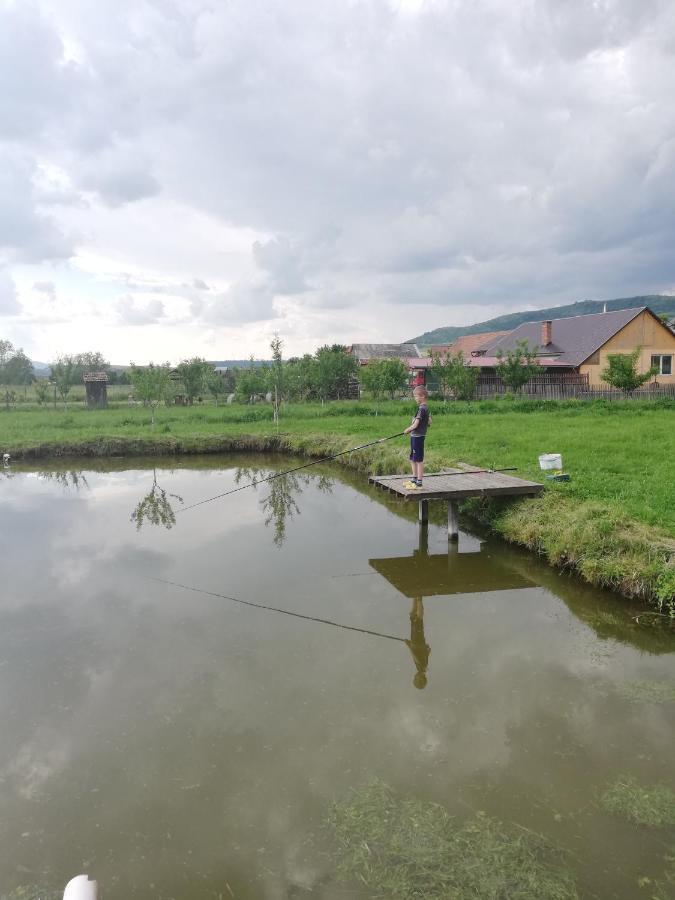 Kacsó Apartma Ocna de Sus Exterior foto