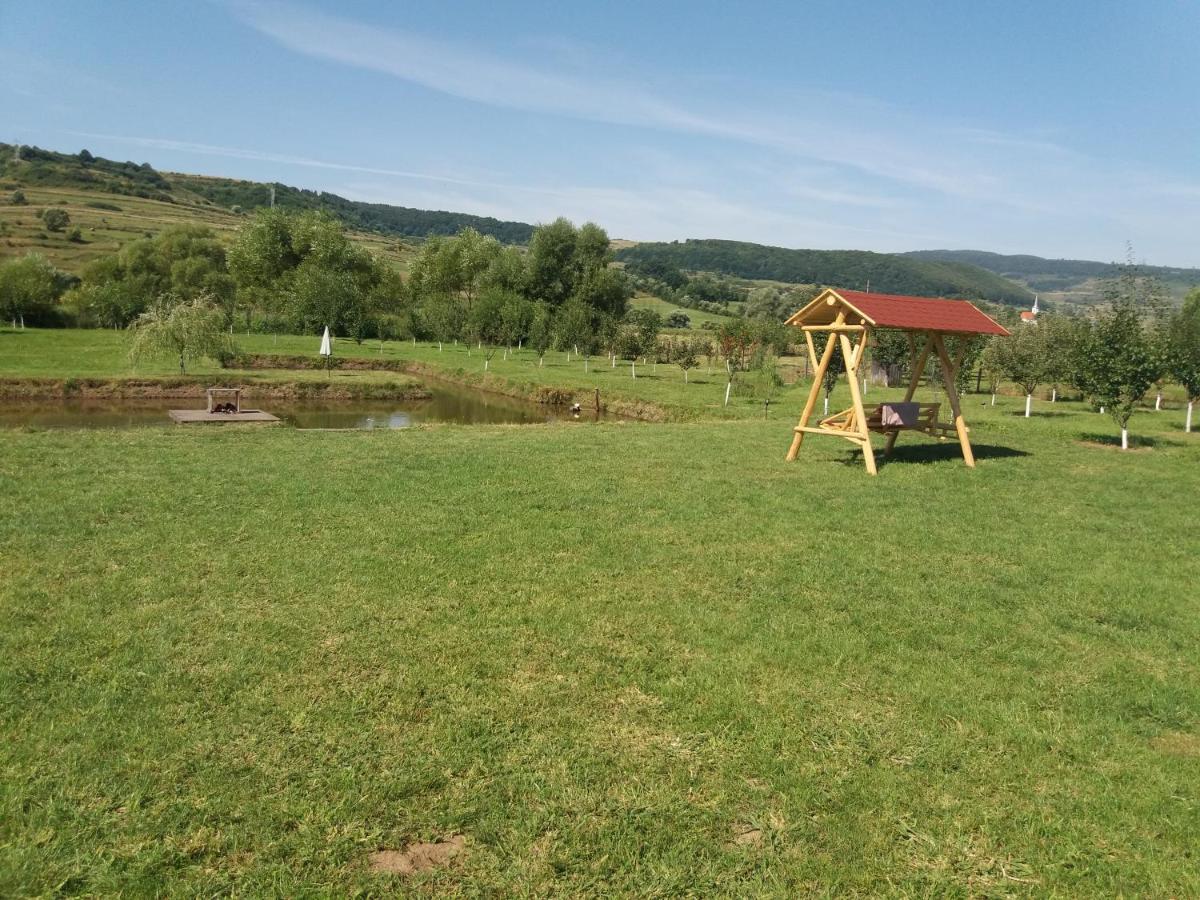 Kacsó Apartma Ocna de Sus Exterior foto