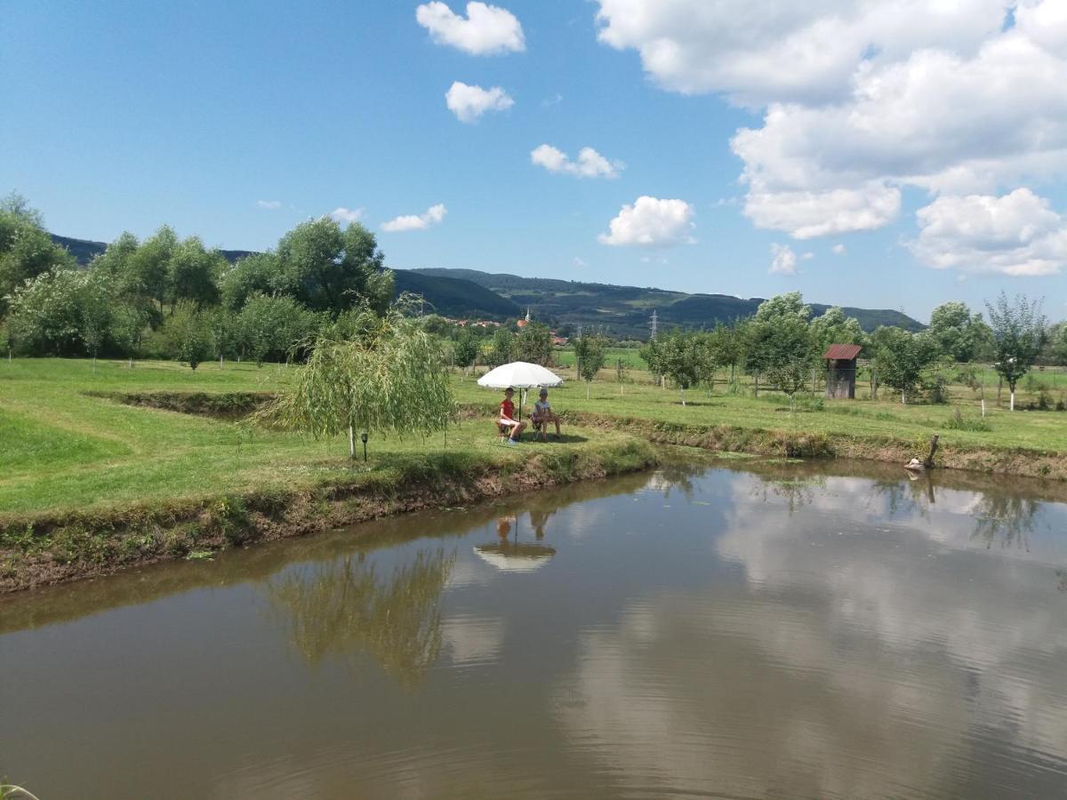 Kacsó Apartma Ocna de Sus Exterior foto