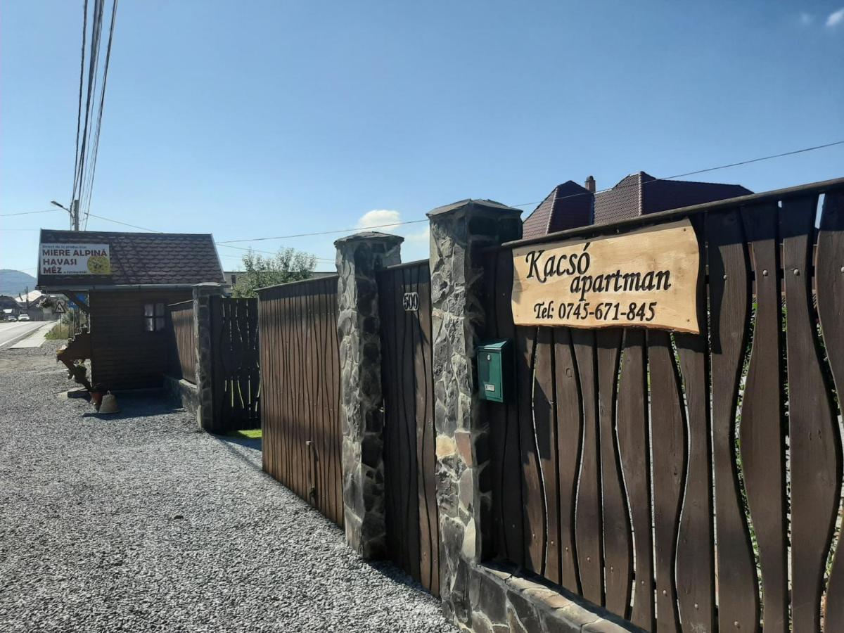 Kacsó Apartma Ocna de Sus Exterior foto