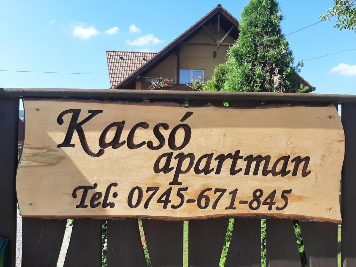 Kacsó Apartma Ocna de Sus Exterior foto