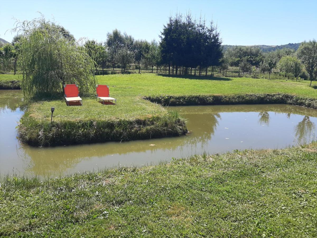 Kacsó Apartma Ocna de Sus Exterior foto