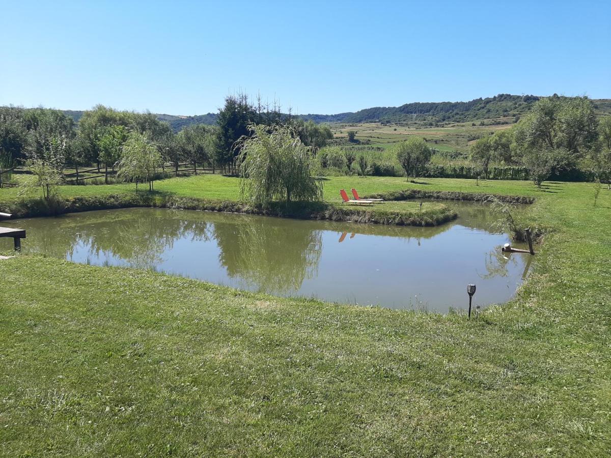 Kacsó Apartma Ocna de Sus Exterior foto