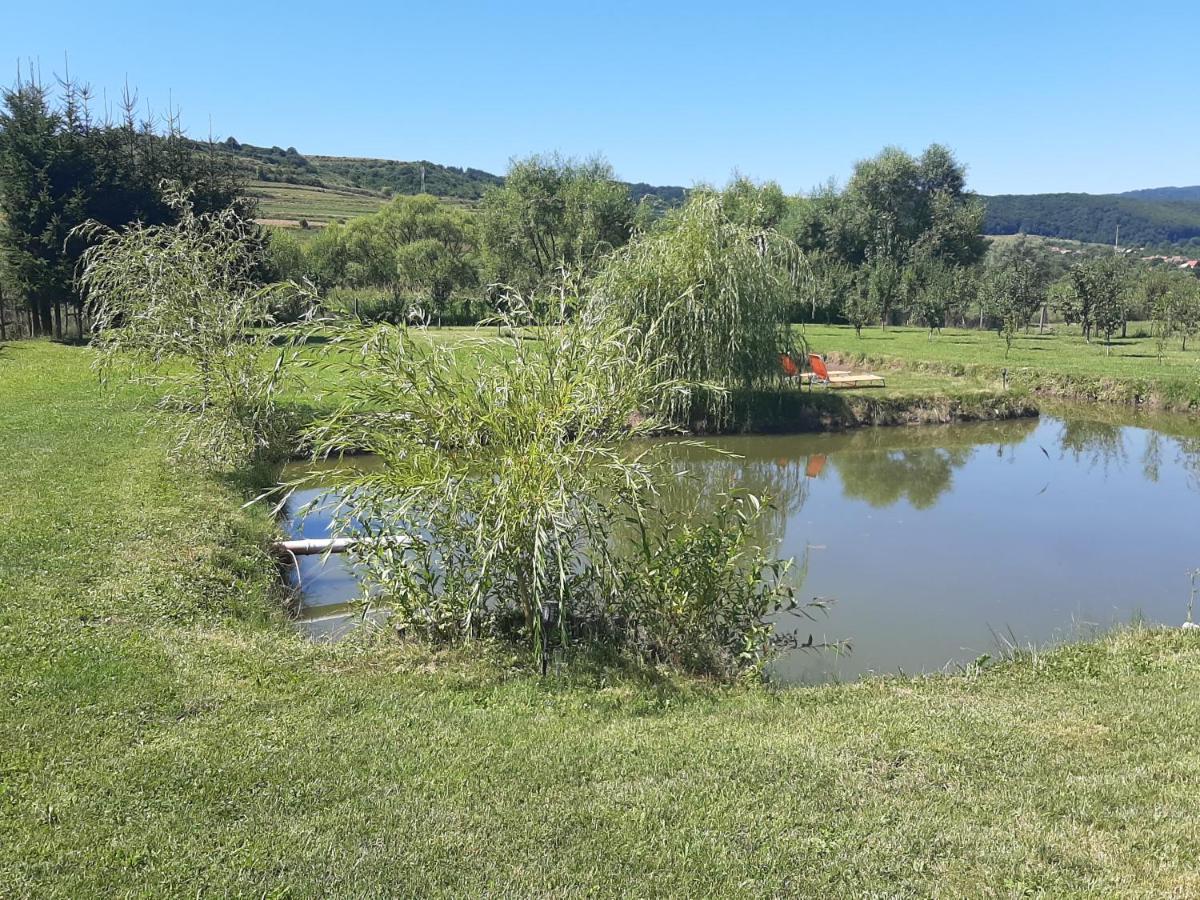 Kacsó Apartma Ocna de Sus Exterior foto