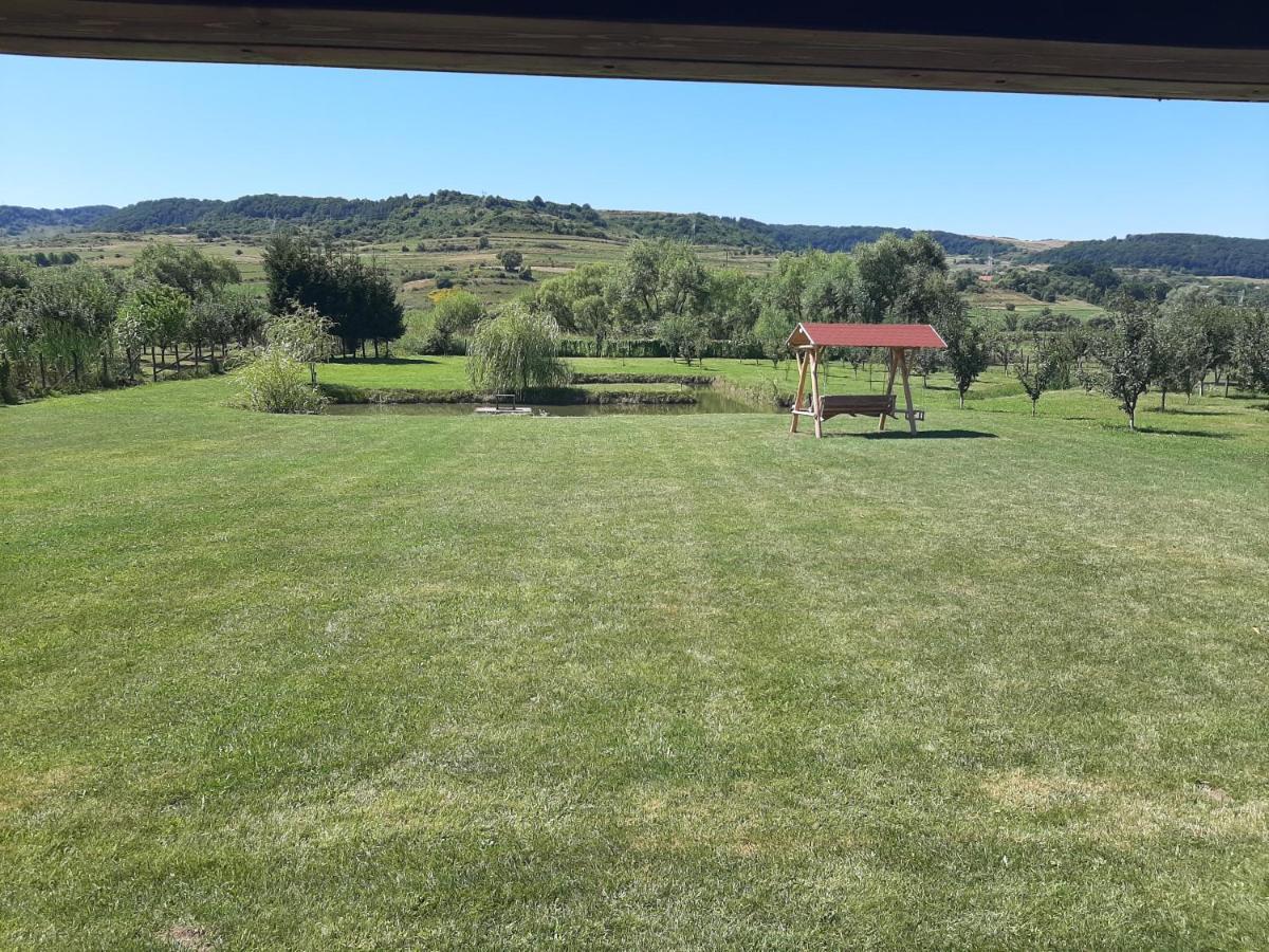 Kacsó Apartma Ocna de Sus Exterior foto