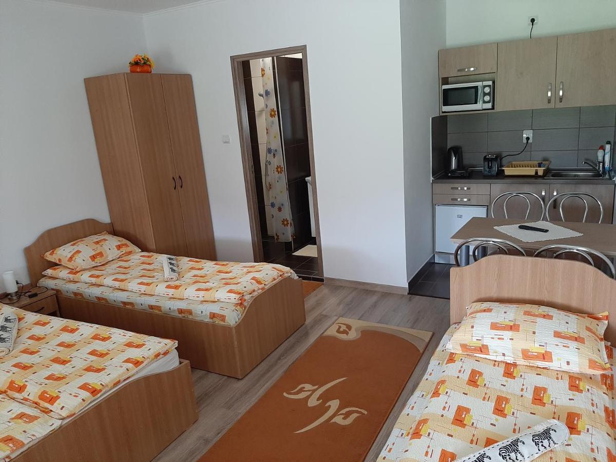 Kacsó Apartma Ocna de Sus Exterior foto